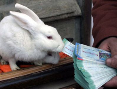 Milli piyango çılgınlığı