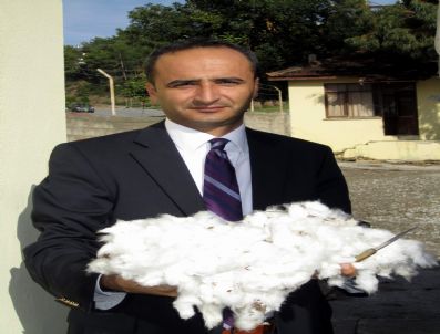 Pamuk Altın Çağını Yaşıyor