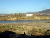 Bartın Tarımında Sulama İçin Reform İsteği