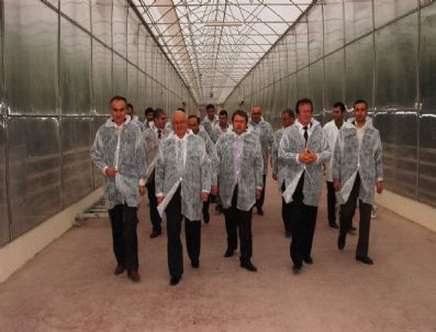 HALIL PEKDEMIR - Vali Erkmen Pekdemir Seracılık'da İncelemelerde Bulundu