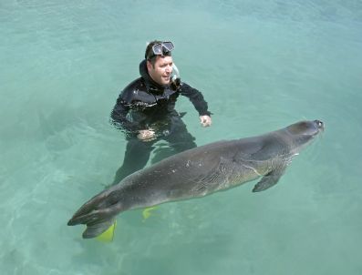 AKYARLAR - 'Badem'i Rahat Bırakın'