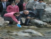 Alabalıklar Dereyle Buluştu