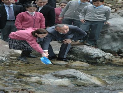 RECEP KıZıLCıK - Alabalıklar Dereyle Buluştu