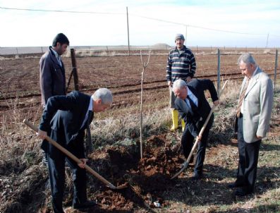 BOZHÜYÜK - Köy Yolları Yeşilleniyor