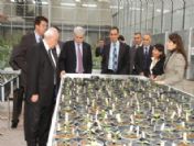 Türkiye'nin İlk Ve Tek Anaç Tohum Üretim Merkezi Üretimine Başladı