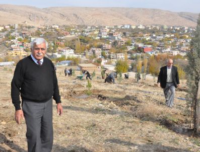 EFLATUN - Silvan'da Ağaç Dikimi