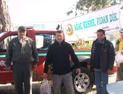 TAŞAĞıL - Bedava Fidanlar Kapışıldı