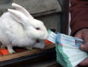 Milli piyango yılbaşı bileti çılgınlığı sürüyor