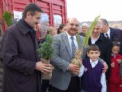 Valilikten Öğrencilere Çam Ağacı