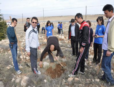 Karaman'da Ağaçlandırma Seferberliği