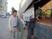 Muhtarlara 50'şer Harnup Fidanı Dağıtıldı