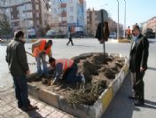 Aziziye, Bahar Ayında Çiçek Açacak