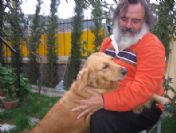 Hayvanlara Kimse Sahip Çıkmıyor