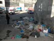 Magesder, Hizmet İstedi