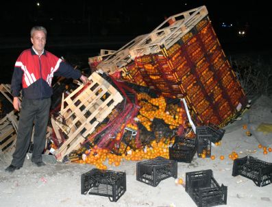 24 Ton Mandalina Çöp Oldu