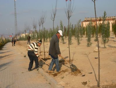 9 Bin Metrekarelik Alanda Yeşil Alan Kuşağı Oluşturuldu