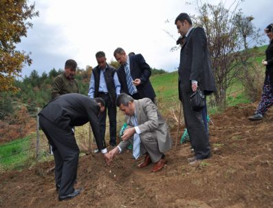 YALÇıN SEZGIN - Demirci'nin Köyleri Lale İle Kalkınacak
