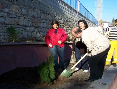 ERKAN KARAHAN - Korkuteli Adliyesi Çevresine 80 Fidan Dikildi