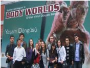 Antropoloji Topluluğu 'Body Worlds' Sergisini Gezdi