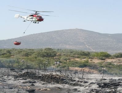 Orman Yangınlarını Sndürmek İçin Servet Harcanıyor