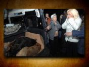 Beykoz'da köpek katliamı