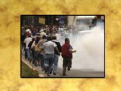 AB, Lobo'yu tanıyacak