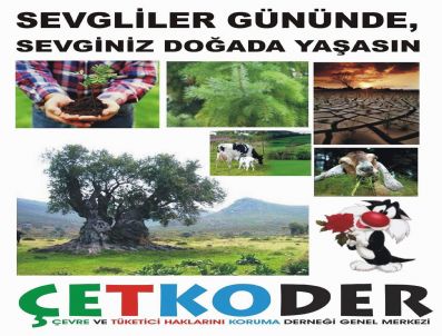 ÇEVRE VE TÜKETICI HAKLARıNı KORUMA DERNEĞI - Çetkoder'den Sevgililere Anlamlı Çağrı