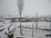 Kiğı'da Kentsel Dönüşüm Projesi