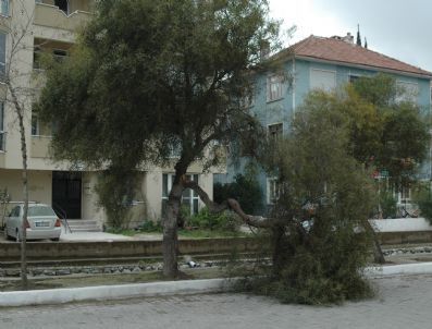 MUHAMMET TOKAT - Milas'ta Şiddetli Fırtına Ve Yağış