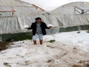 'tarım Sigortası Havuzu' Kararı Yürürlüğe Girdi