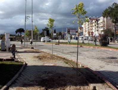 HAMDIBEY - Edremit Çiçek Açacak