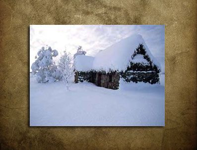 Kar fırtınası ABD ekonomisini de vurdu