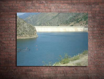 MEHMET DEMIRAL - Torul Barajı'ndaki kayıpları Sat komandolar arayacak