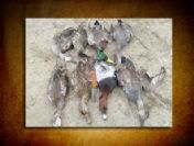 Yasak Avlananlara Ceza