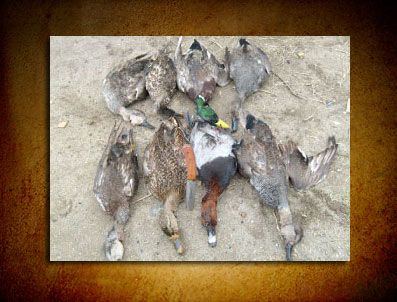 Yasak Avlananlara Ceza