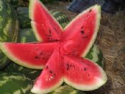 Karpuz hamile kadınların imdadına yetişti