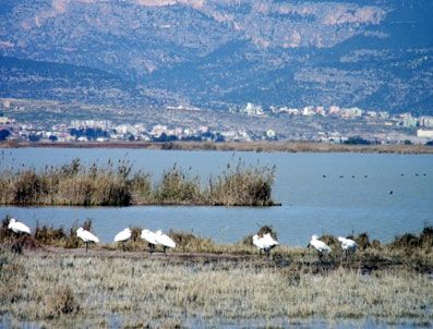 Göksu Özel Çevre Koruma Bölgesi'ne 2 Yılda 5 Milyon Liralık Yatırım