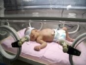 Muğla'nın Geçen Yıl 11 Bin Bebeği Oldu