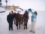 Turistlerin Atlı Kızak Keyfi