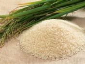 Demir eksikliği pirinçle tarih oluyor