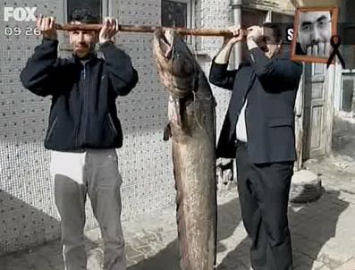 Dev yayın balığı görenleri şaşırttı