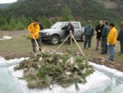 Ormancılardan Biyomekanik Mücadele