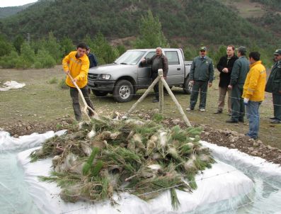 Ormancılardan Biyomekanik Mücadele