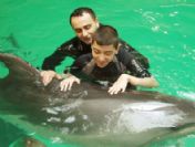 Özürlü Çocuklar Yunuslarla Yüzdükten Sonra Konuşmaya Başladı