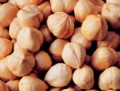 Dünya Türk Fındığına Muhtaç