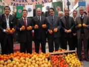 Mersin Turinçgil Festivali