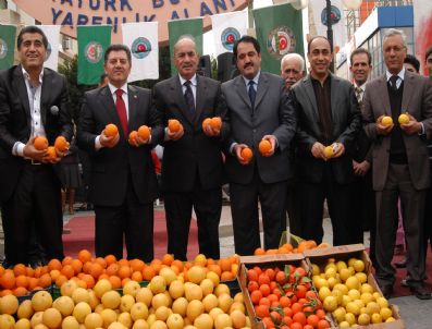 MEHMET GÖDEKMERDAN - Mersin Turinçgil Festivali