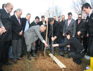Düzce'de Köylüye Tarım Müdürlüğünden Meyve Fidanı