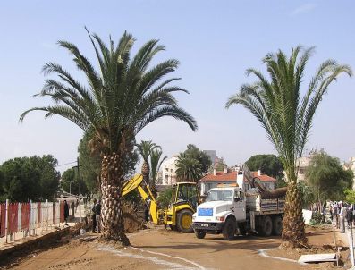 BARıŞ SELÇUK - Kaldırılan Büfelerin Yerleri Park Oluyor
