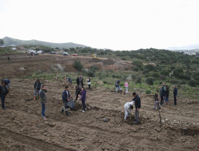 Ortakent'te Fidan Dikimi